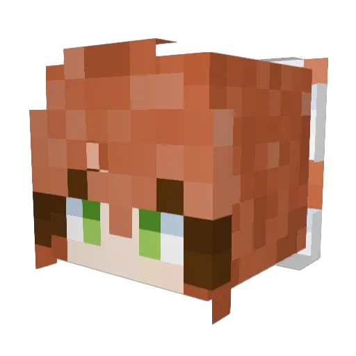 Commander_Nanook Minecraft avatar head, 3D render