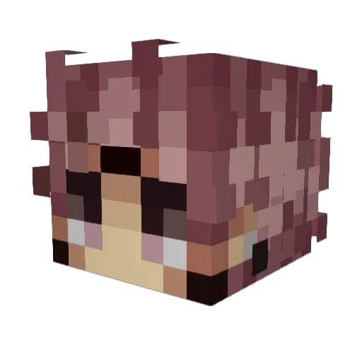 Commander_Sam Minecraft avatar head, 3D render