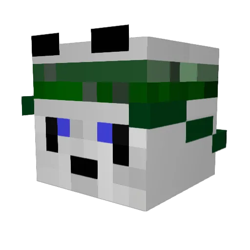 Commandercody52 Minecraft avatar head, 3D render