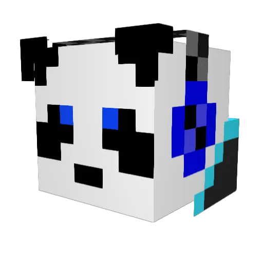 CommandingDragon Minecraft avatar head, 3D render