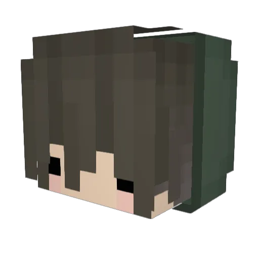 CommitSvicide Minecraft avatar head, 3D render