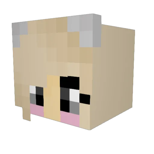 CommodoreNougat Minecraft avatar head, 3D render