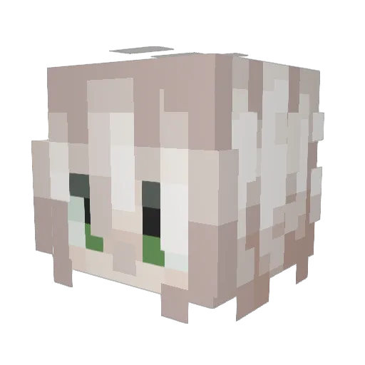 Common11037 Minecraft avatar head, 3D render