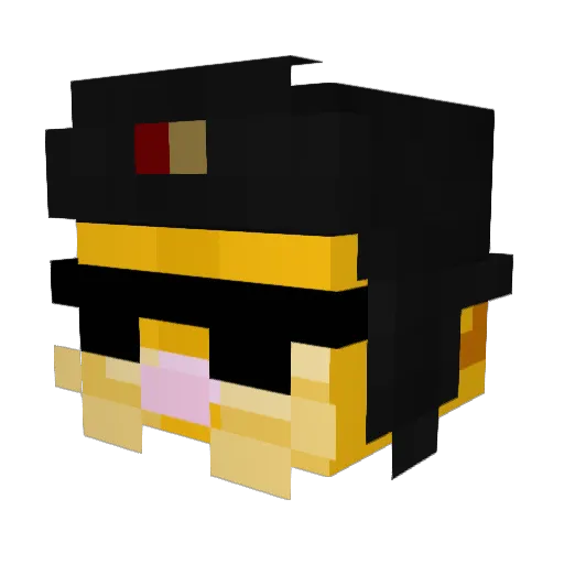 CommunismCat75 Minecraft avatar head, 3D render