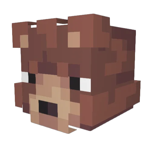 CommunistDuck420 Minecraft avatar head, 3D render