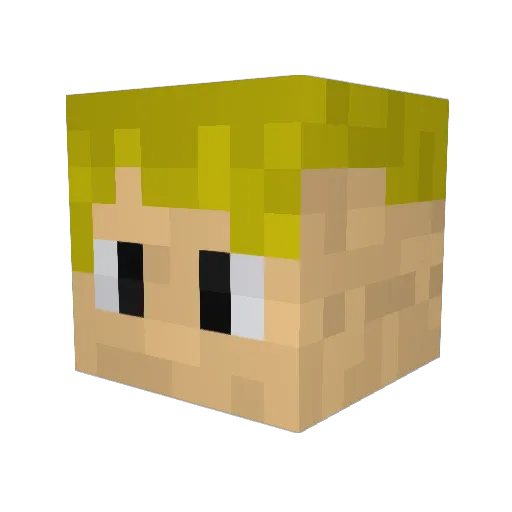 CommunityDAD Minecraft avatar head, 3D render