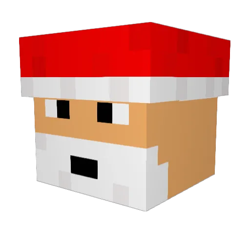 Commy1020 Minecraft avatar head, 3D render