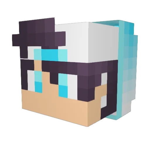 CompactLeaf4478 Minecraft avatar head, 3D render