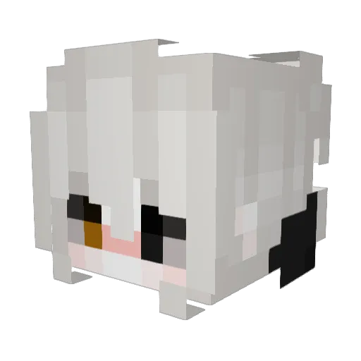 Compact_ Minecraft avatar head, 3D render