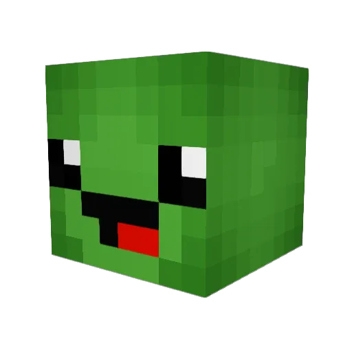 CompadreMoncho Minecraft avatar head, 3D render
