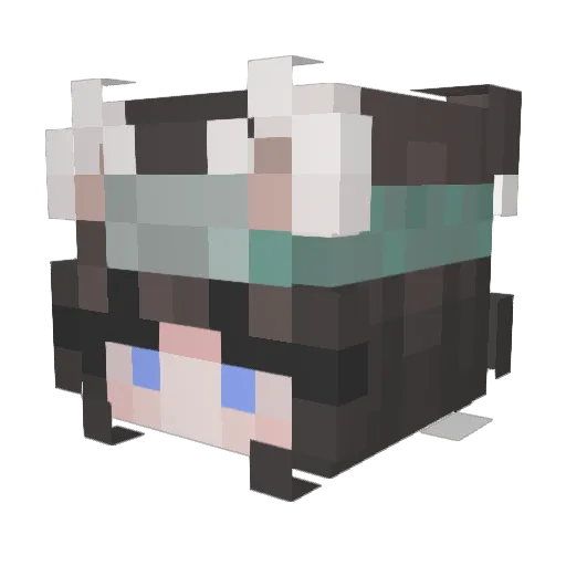 Competine Minecraft avatar head, 3D render