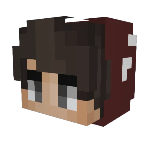 CompetitionShook Minecraft avatar head, 3D render