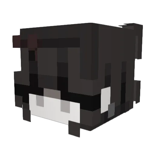 Compets Minecraft avatar head, 3D render