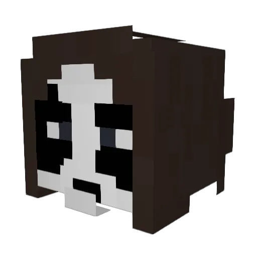 CompitaMayor Minecraft avatar head, 3D render