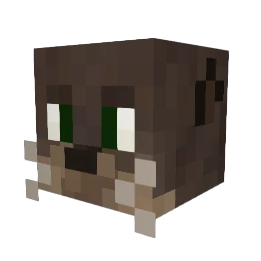 CompletedPi Minecraft avatar head, 3D render