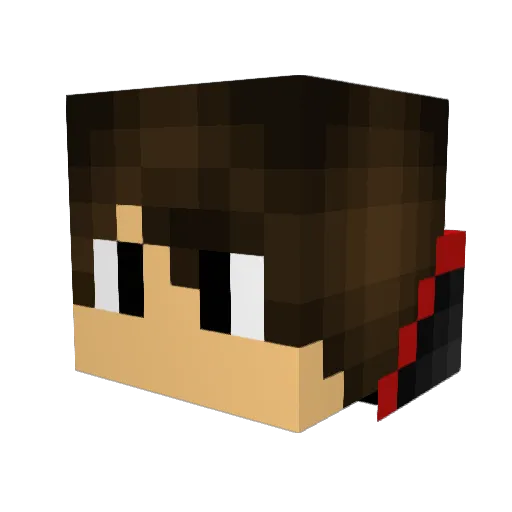 CompletelyNoTime Minecraft avatar head, 3D render