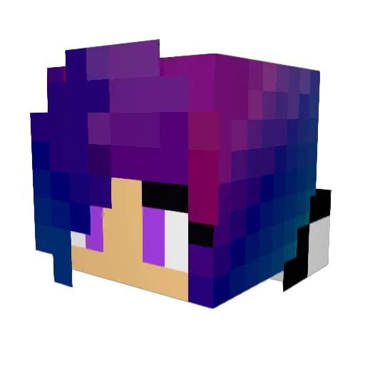 ComplexFlips103 Minecraft avatar head, 3D render