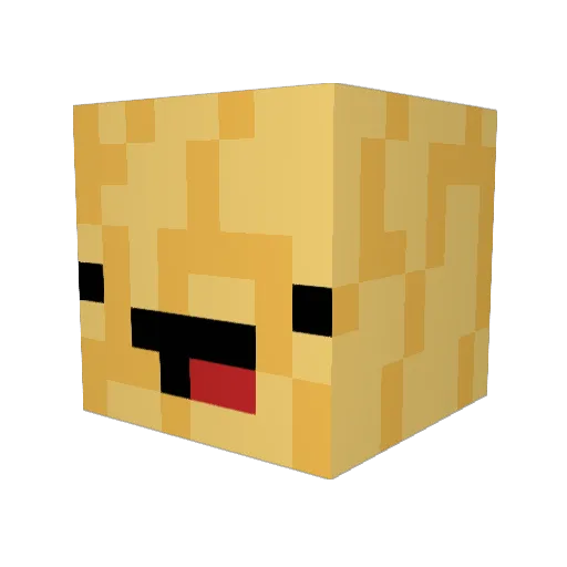CompliantFries Minecraft avatar head, 3D render
