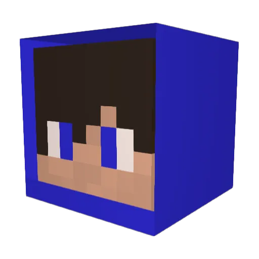 Compregui Minecraft avatar head, 3D render
