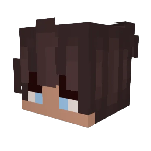 Computerscience1 Minecraft avatar head, 3D render