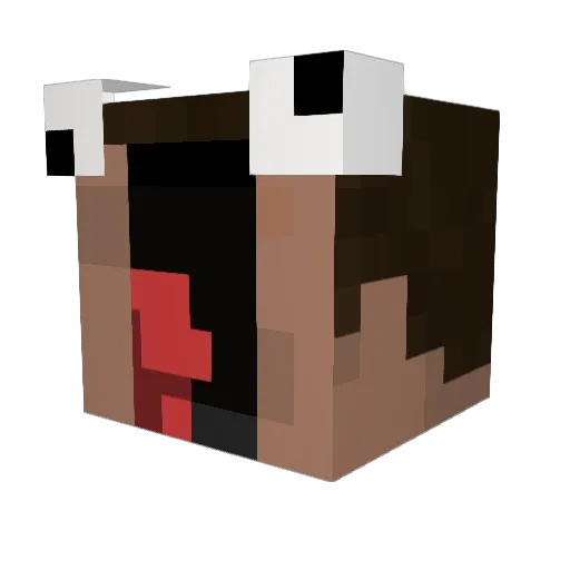 Computinq Minecraft avatar head, 3D render