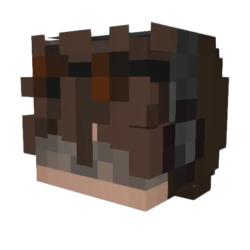 Comrade_Dolphin Minecraft avatar head, 3D render