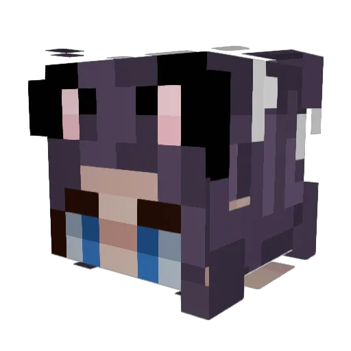 Con07 Minecraft avatar head, 3D render