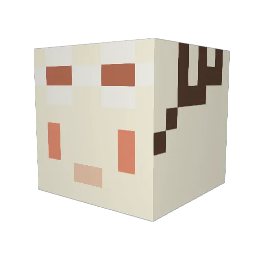 ConW2 Minecraft avatar head, 3D render