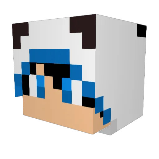 ConamGamer Minecraft avatar head, 3D render