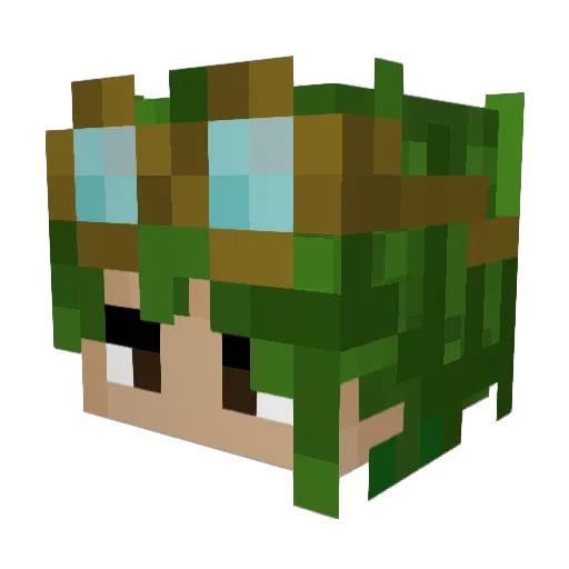 Conan47 Minecraft avatar head, 3D render