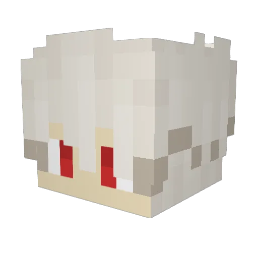 Conaquioni Minecraft avatar head, 3D render
