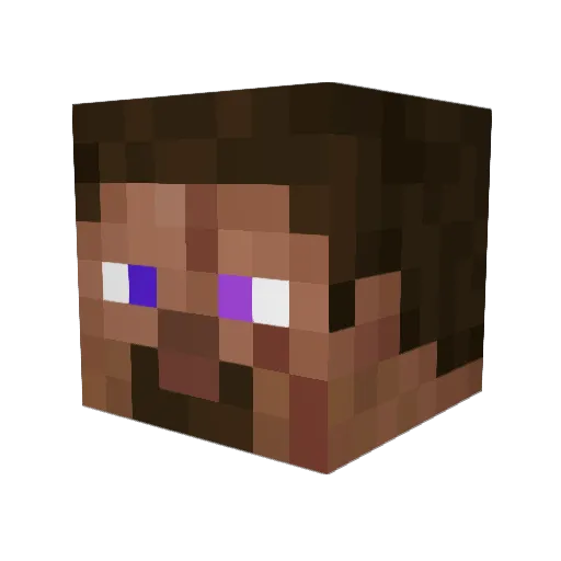 ConariKing Minecraft avatar head, 3D render