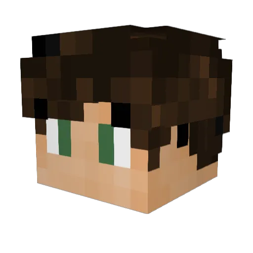 Conary Minecraft avatar head, 3D render