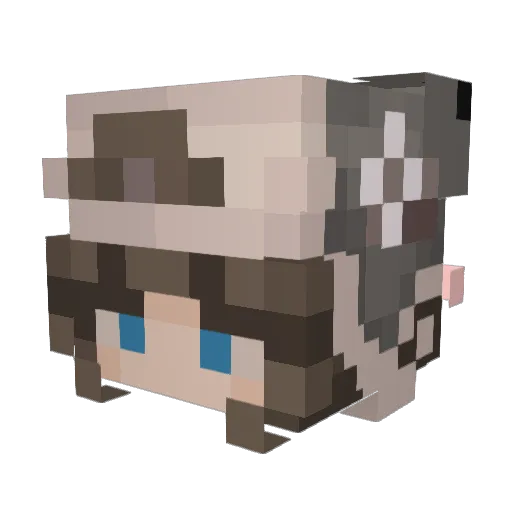 Conato1412 Minecraft avatar head, 3D render