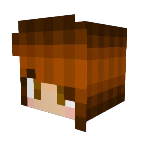 Conbeeni Minecraft avatar head, 3D render