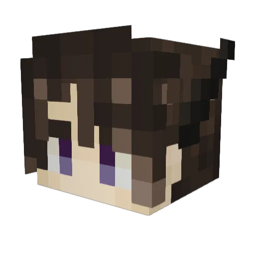 ConcernedWyvern Minecraft avatar head, 3D render