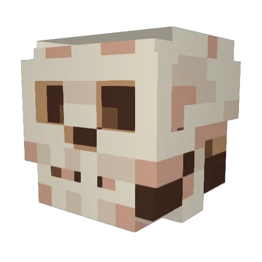 ConeCold Minecraft avatar head, 3D render