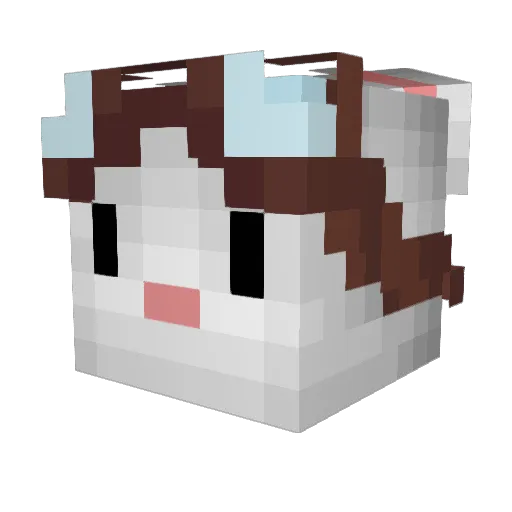 ConeDaan Minecraft avatar head, 3D render