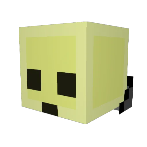 ConeMaster69 Minecraft avatar head, 3D render