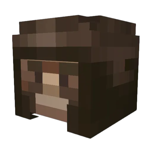Conelt Minecraft avatar head, 3D render