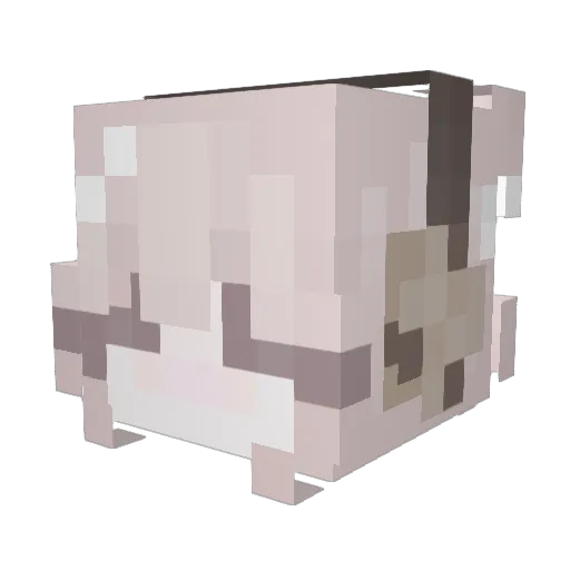 Conetic Minecraft avatar head, 3D render