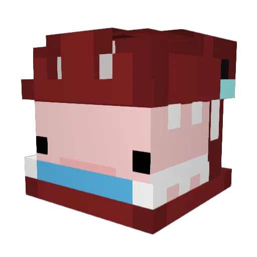 Confia Minecraft avatar head, 3D render