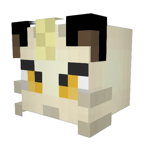 Confident_Coyote Minecraft avatar head, 3D render