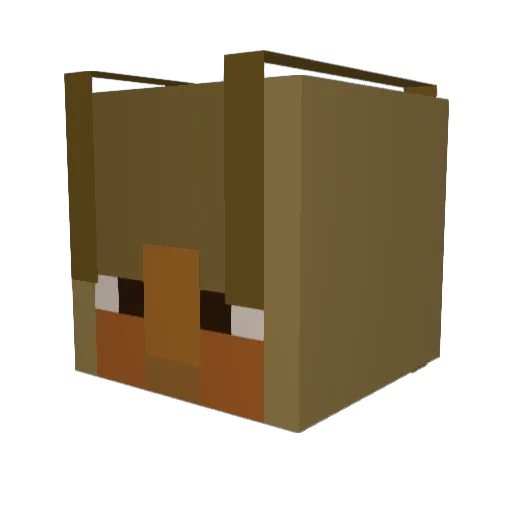 Conflictin Minecraft avatar head, 3D render