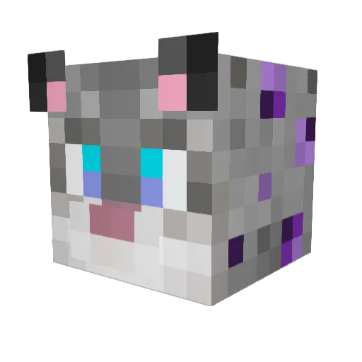 Conflux_Atheon Minecraft avatar head, 3D render
