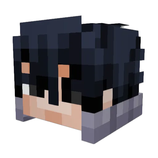 Conformed Minecraft avatar head, 3D render