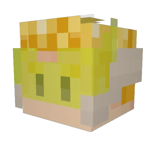 Confrade Minecraft avatar head, 3D render