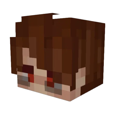 ConfusedBlur Minecraft avatar head, 3D render