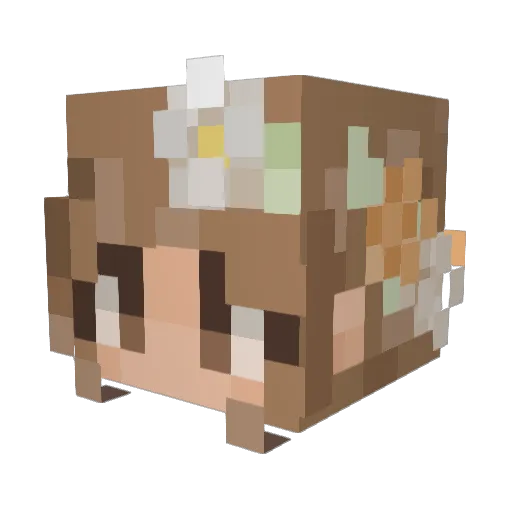 ConfusedBunnii_ Minecraft avatar head, 3D render