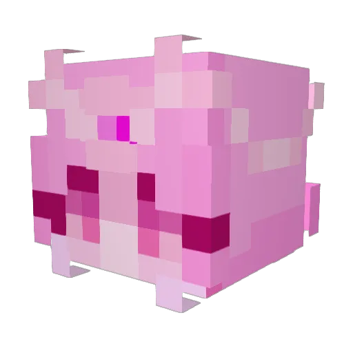 ConfusedFusion Minecraft avatar head, 3D render